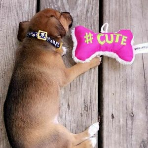 Meet your Posher, Haylee